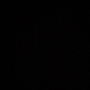 Meet your Posher, Reesie